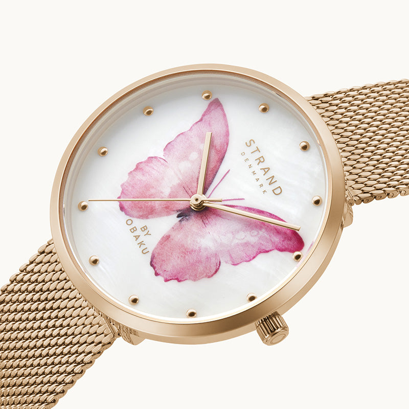 PINK BUTTERFLY-ROSE
