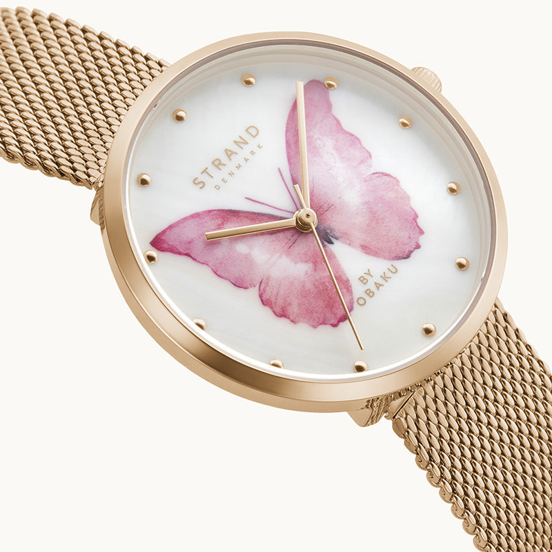 PINK BUTTERFLY-ROSE