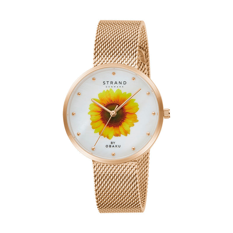 SUNFLOWER-ROSE